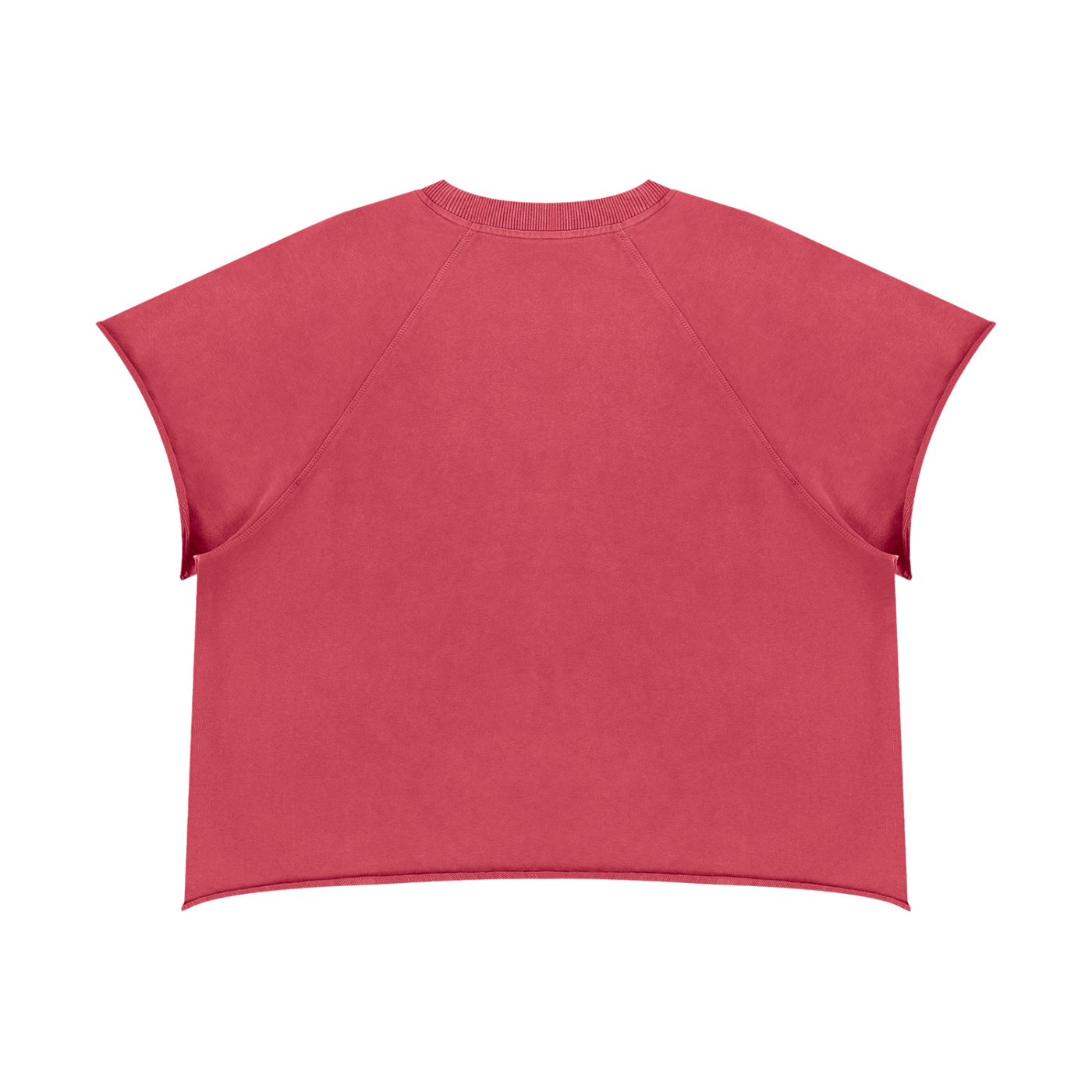 Heavens Garden “Planted” Heavyweight Vintage Raw Edge T-Shirt