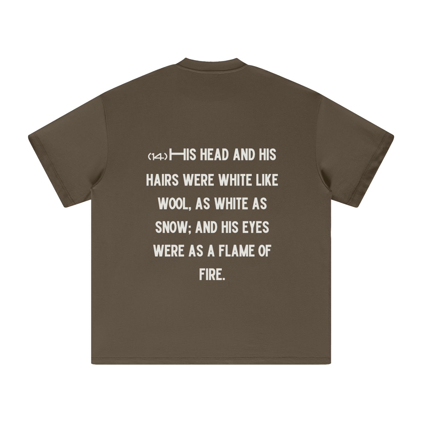 "Revelation 1:14" The Wool & Fire Heavyweight Earth Tone T-Shirt
