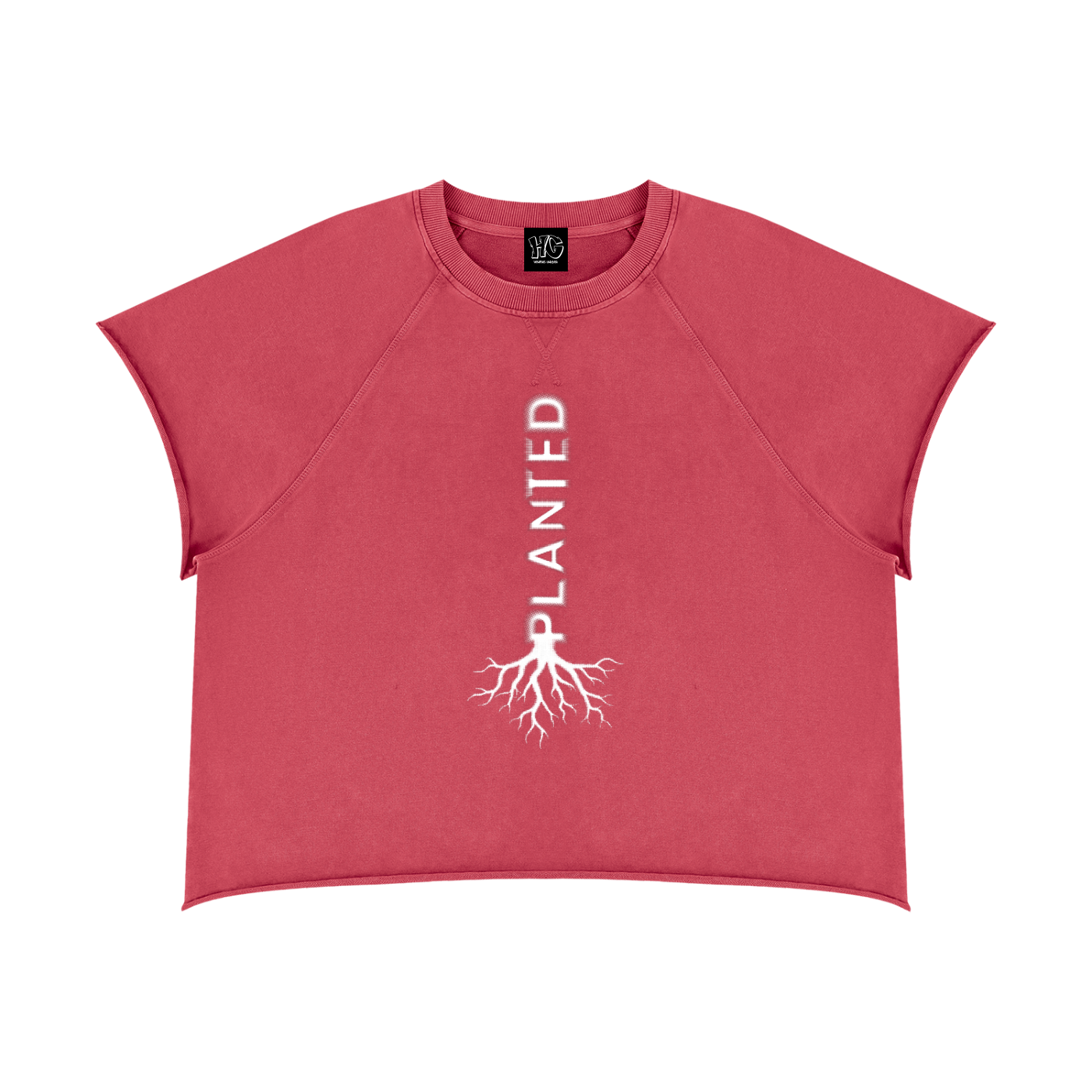 Heavens Garden “Planted” Heavyweight Vintage Raw Edge T-Shirt