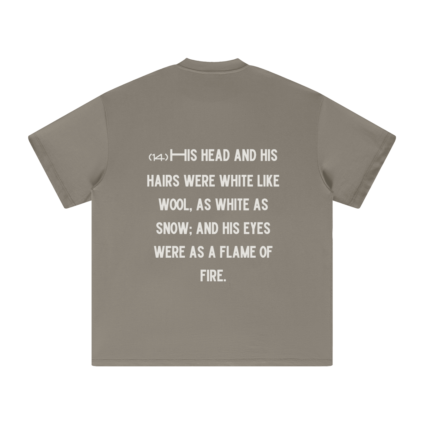 "Revelation 1:14" The Wool & Fire Heavyweight Earth Tone T-Shirt