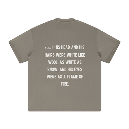 "Revelation 1:14" The Wool & Fire Heavyweight Earth Tone T-Shirt
