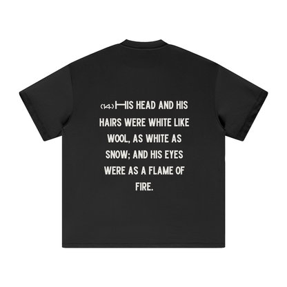 "Revelation 1:14" The Wool & Fire Heavyweight Earth Tone T-Shirt