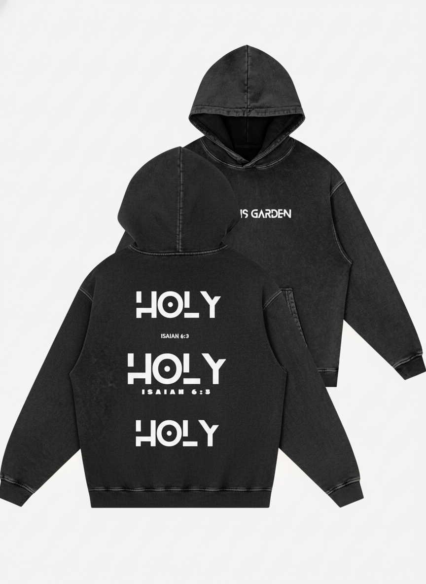 “HOLY HOLY HOLY” Isaiah 6:3 | Snow Washed Loose Cotton Hoodie