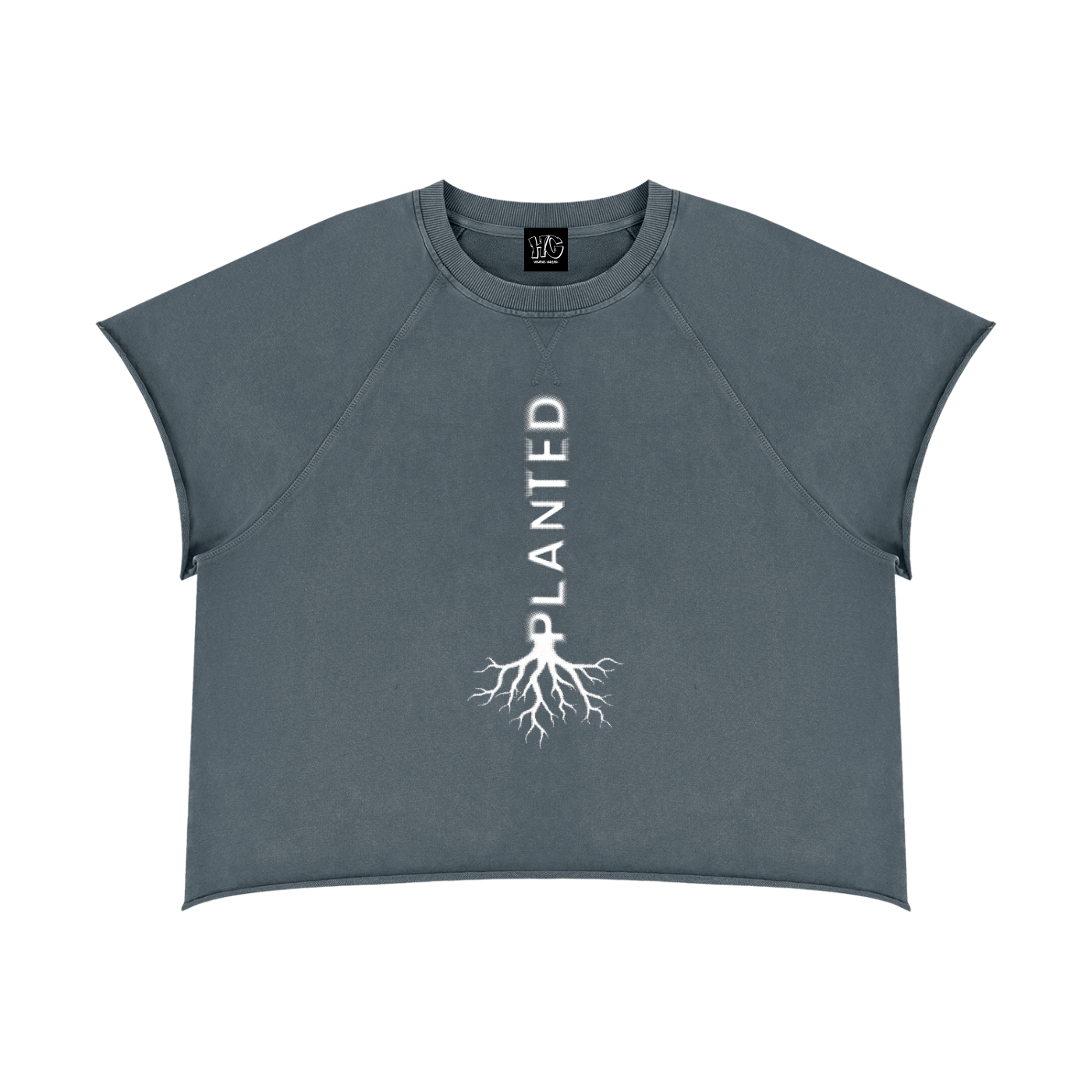 Heavens Garden “Planted” Heavyweight Vintage Raw Edge T-Shirt
